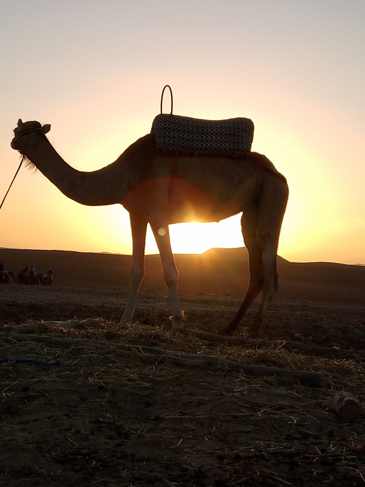 Agafay Desert Afternoon & Dinner Show