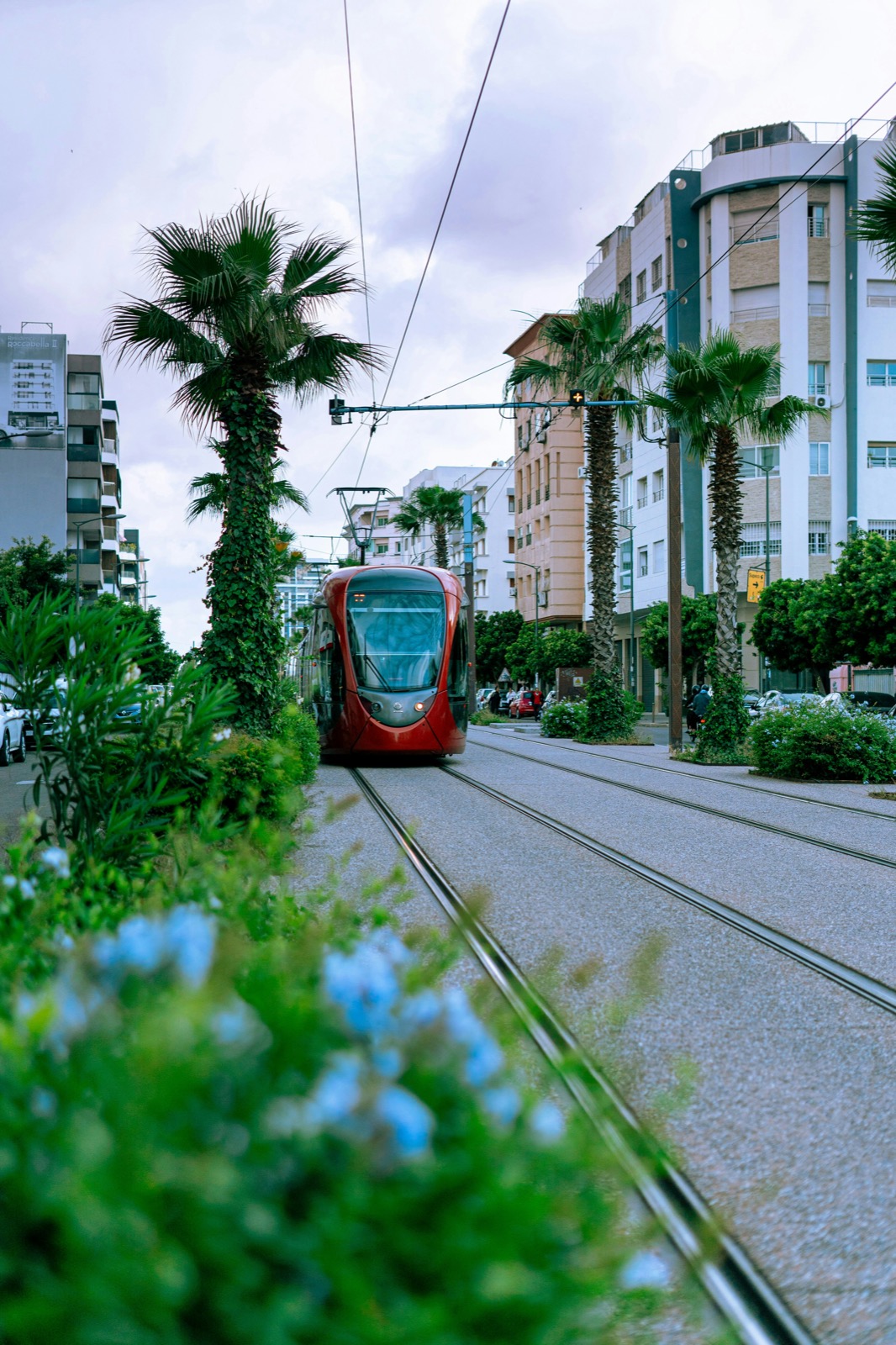 8 Days Circuit - Desert & Imperial Cities View