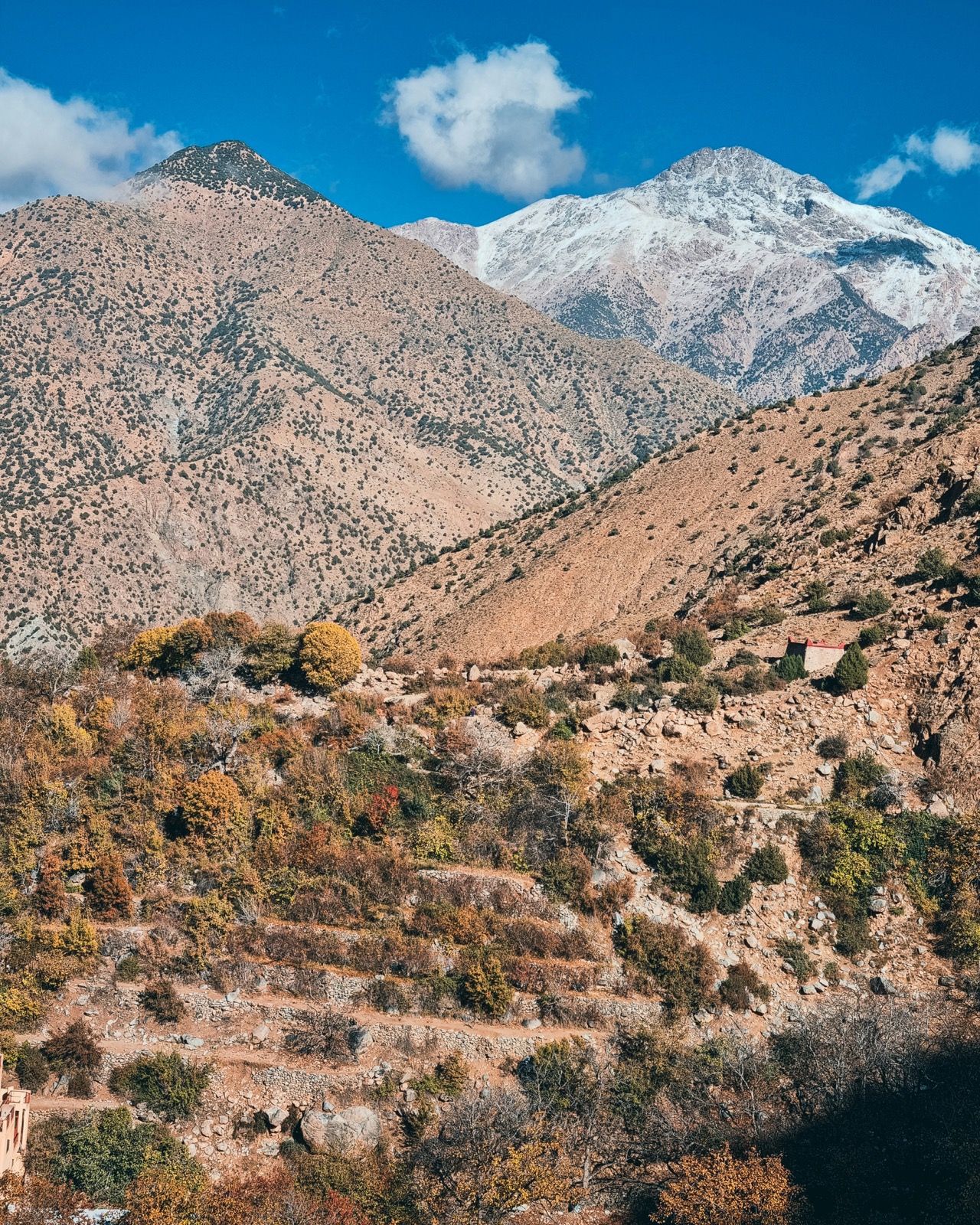 Ourika Valley - Full Day with Lunch & Guide