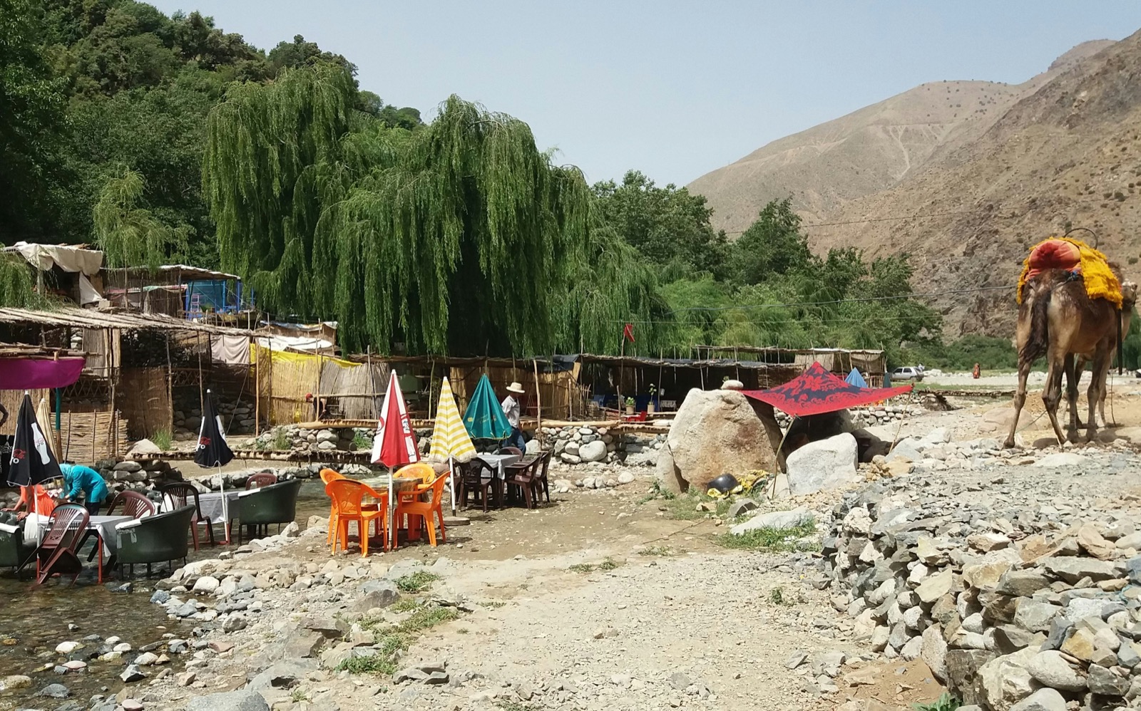 Imlil & Agafay - Full Day & Dinner Show